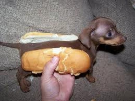 Hot dog 2